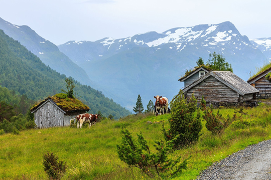 探索史诗般的最美一面 启程挪威完美之旅