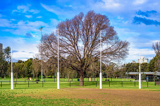 墨尔本的春天 与温暖的色彩撞个满怀